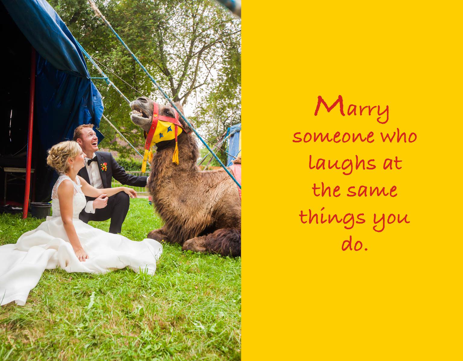 AWS Denise und Thomas Circus bunt 158